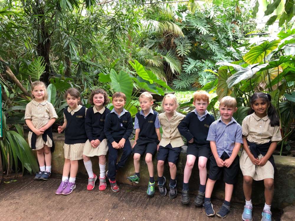 Rainforest Visit