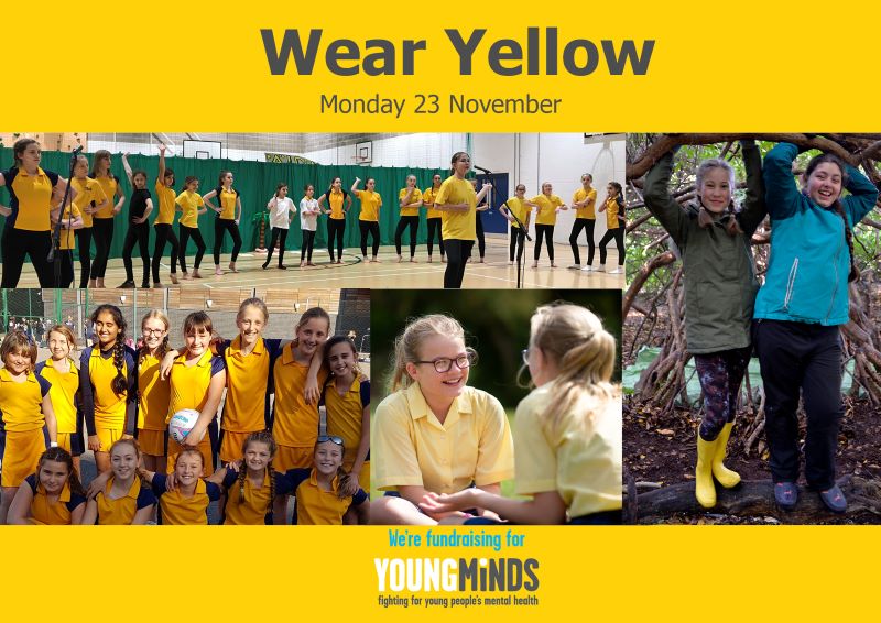 Yellow Day Young Minds